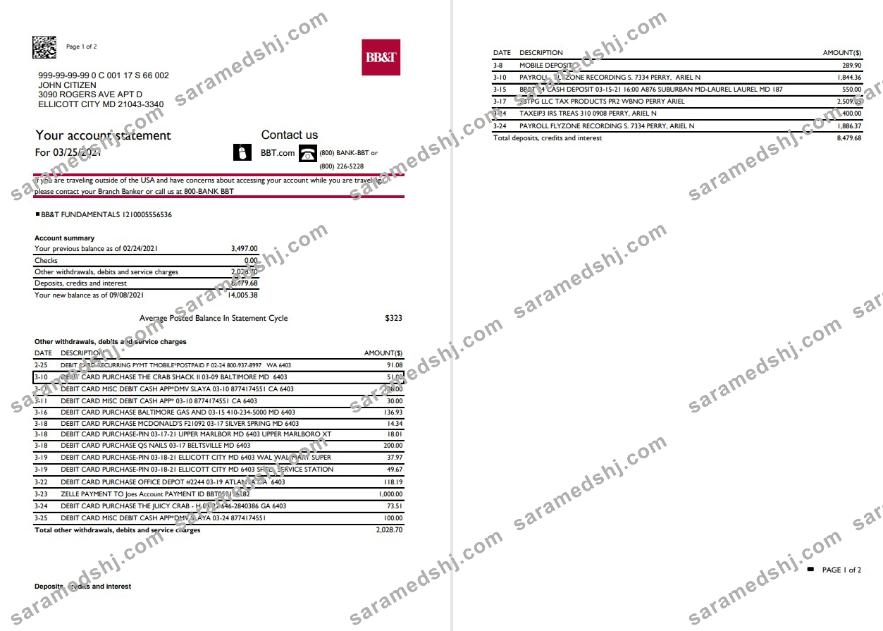 USA North Carolina BB&T Corp. bank statement template in Excel and PDF format (2 pages)